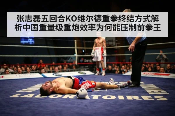 张志磊五回合KO维尔德重拳终结方式解析中国重量级重炮效率为何能压制前拳王